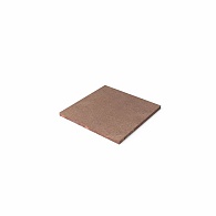 *Schellevis GROTE TEGEL 100X100X5 CM ROODBRUIN