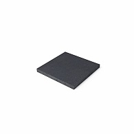 *Schellevis GROTE TEGEL 100X100X8 CM ANTRACIET