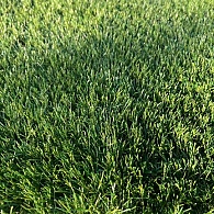 *Kunstgras Save 40 ( 4 meter breed )