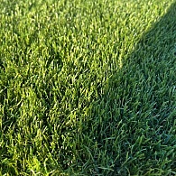 *KunstGras New-Nature poolhoogte 45 mm (rol 2.5 meter breed  )