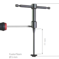 *Tegeldragers Stelsleutel Key