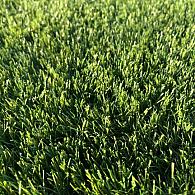 *Kunstgras Art Mason 47 mm