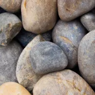 Maaskeien Grote maat sierkeien 60-100 cm