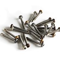 *Schroef WEO Ebony Black tx 4,2x38mm(100) 100 schr./doosje +bit torx rvs AISI304