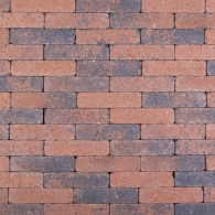 *ACTIONLINE Aardmonnik 20x5x7 (wf)