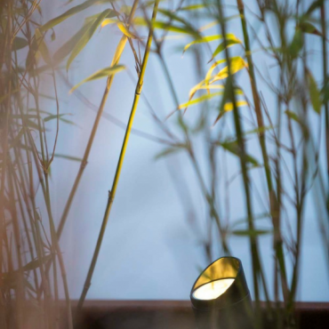 SHIELD 1, Anti-Glare Cap for mini scope