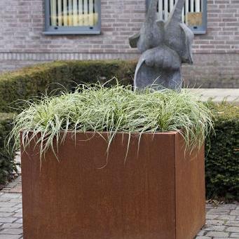 *Plantenbak Vlak Corten 300x30x40 cm