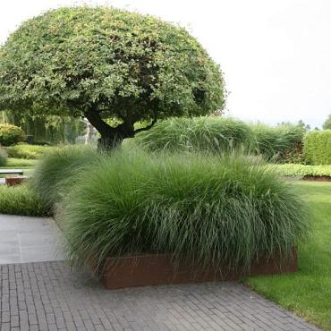 *Borderpaneel flex 220x56 CORTEN incl.3 U profielen, 3 spankettingen en 6 grondpennen